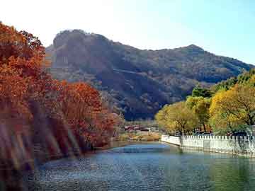 新澳天天开奖资料大全旅游团，纸醉金迷小说